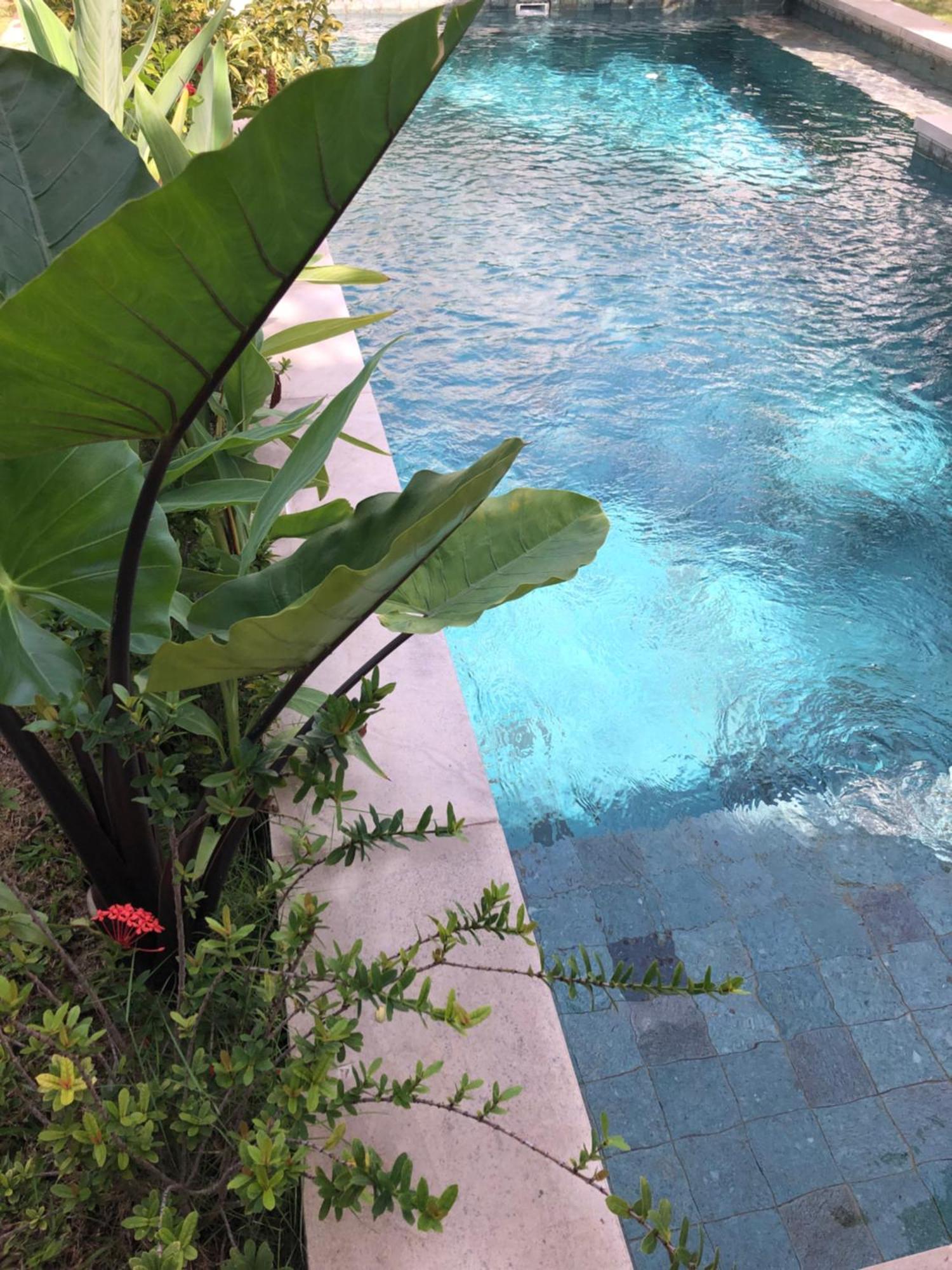 Villa Abhista Seminyak Екстериор снимка